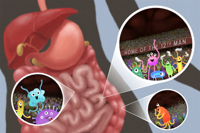12th Man of human health: Tapping into the secrets of our microbiota ←