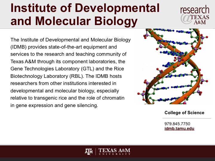 Molecular biology research articles