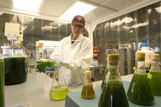 From feed to fuel, algae research is a fountainhead for useful products