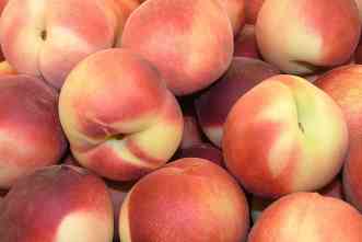 Eat a peach? Extract appears to restrain aggressive cancer in mice