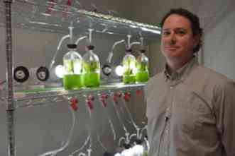 Algae found in ponds and lakes may hold key to producing fuel-grade oil