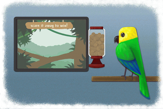 Can playing video games improve parrot’s mental and physical health?