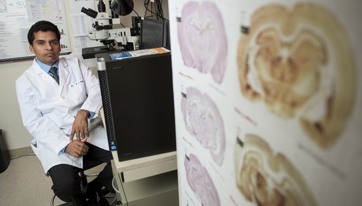 Scientist sits next to illustrations of brain anatomy