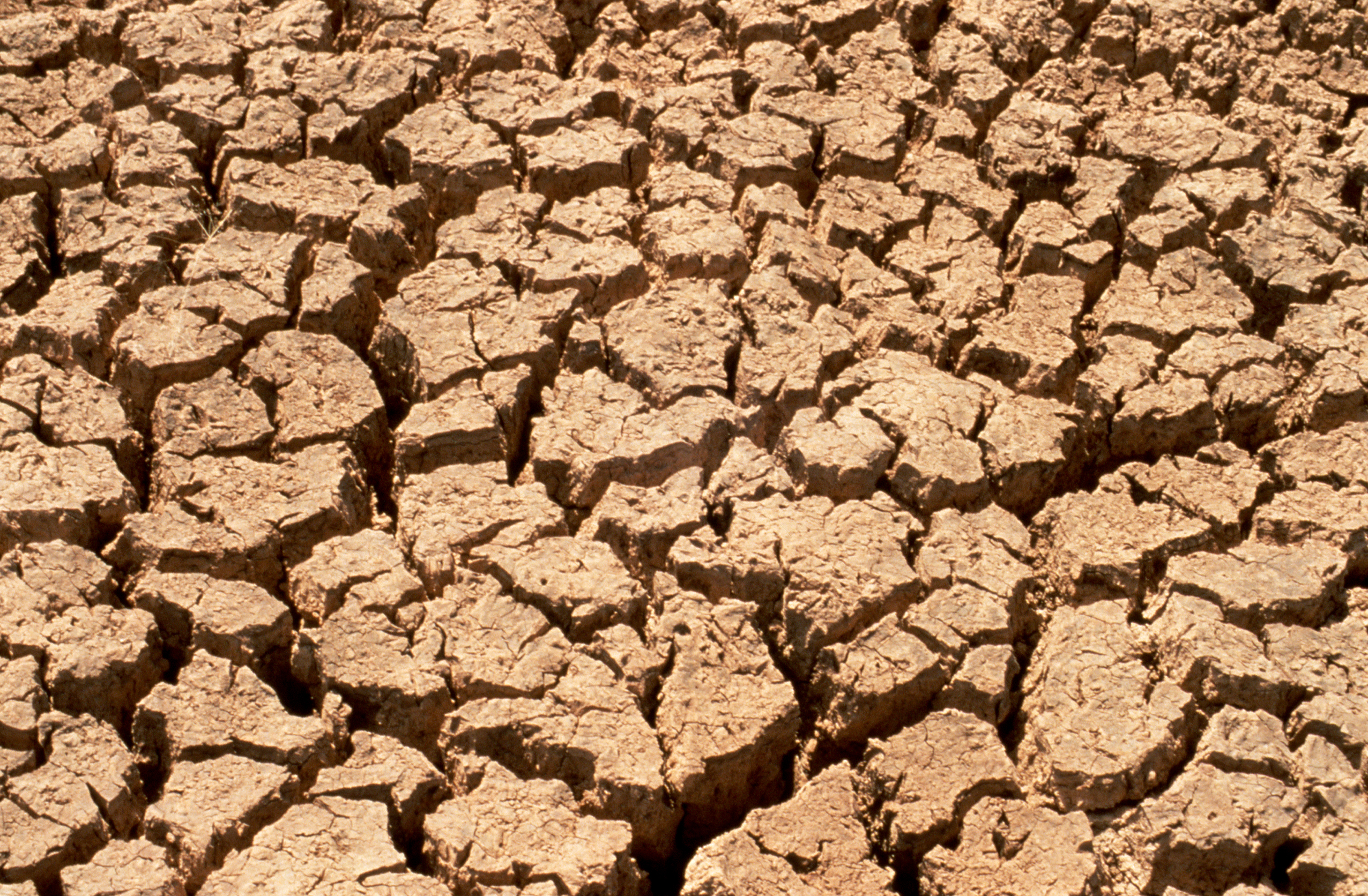 The Effects Of Drought And Its Effects