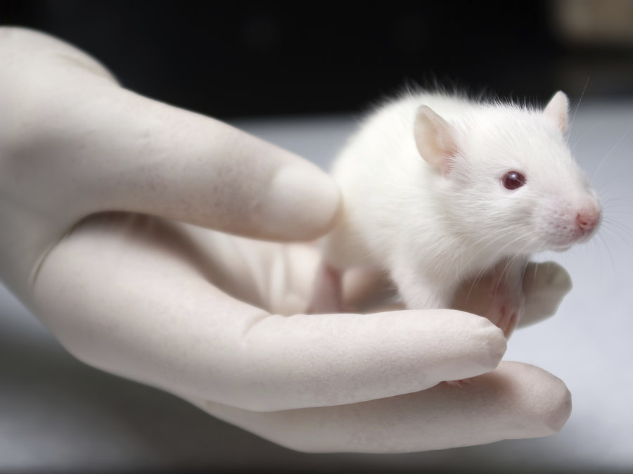 Medical Research and Education using Animal Models