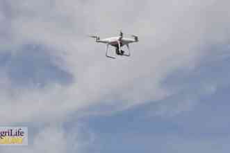 Drones allow researchers to monitor wheat crops faster, more frequently