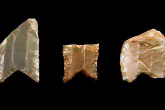 Study of spear points explains how early humans settled North America