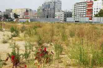 Study of vacant urban land inspires innovative distribution concept