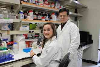 Researchers identify potential therapeutic target for diabetes