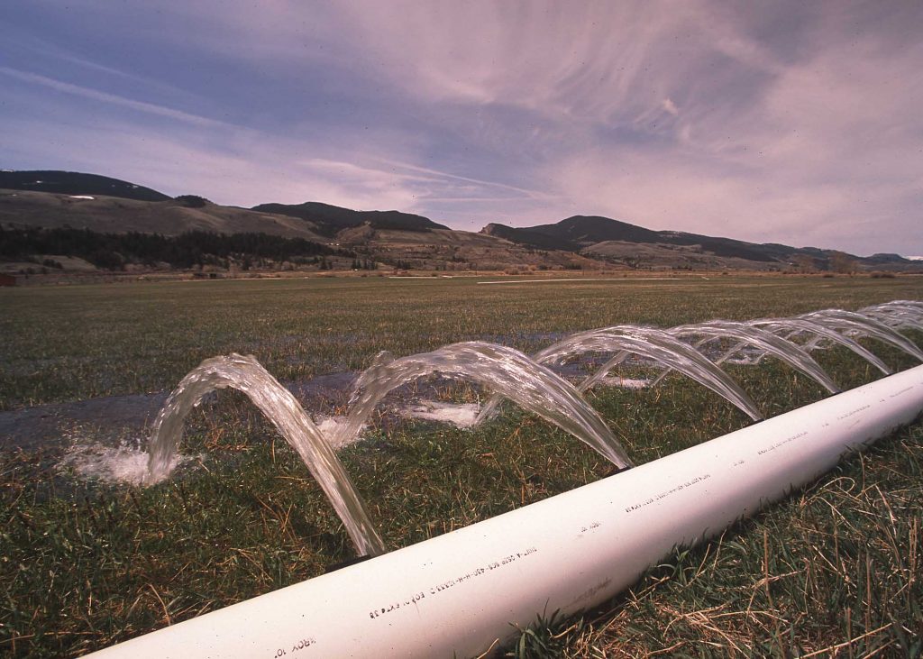 Pipe pours water into open field