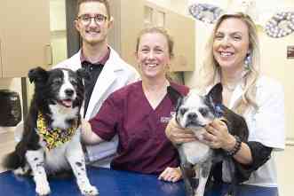 Texas A&M, Washington team up for $23 million Dog Aging Project