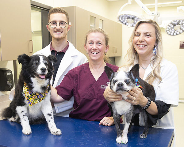 Texas A&M, Washington team up for $23 million Dog Aging Project ← Research  @ Texas A&M | Inform, Inspire, Amaze