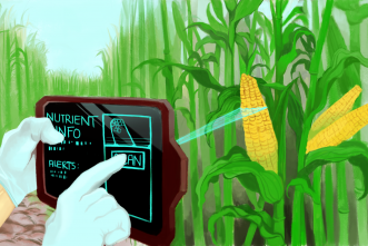 Speedy new scanner can detect nutrients in produce, disease in crops