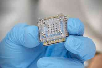 Tissue chips could improve method for screening chemicals for safety