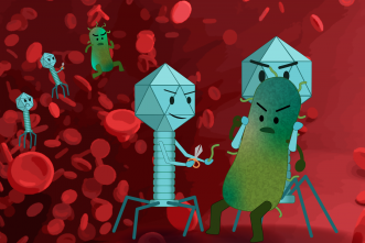 Disarming bacteria? Phages may offer gentler remedies for infections