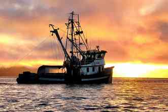 A&M-led team will develop models, tools to sustain West Coast fishing