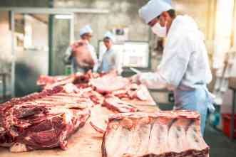 Faster food: Medical breakthrough could improve global beef production￼