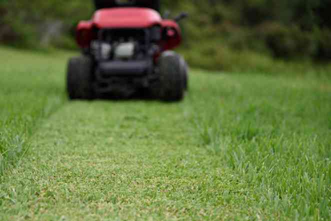 Tough enough: Newest turfgrass thrives in drought, cold or shade